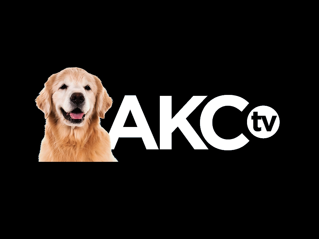 AKC TV Live Stream